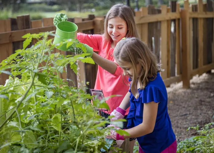 Top Hotels Near Sanford Orlando Airport