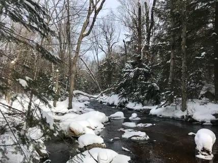 Die winterliche Landschaft des Algonquin Park lohnt einen Besuch.