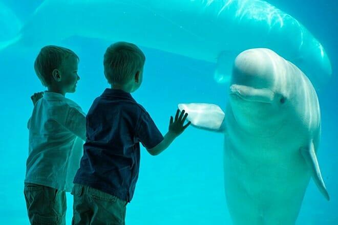marineland